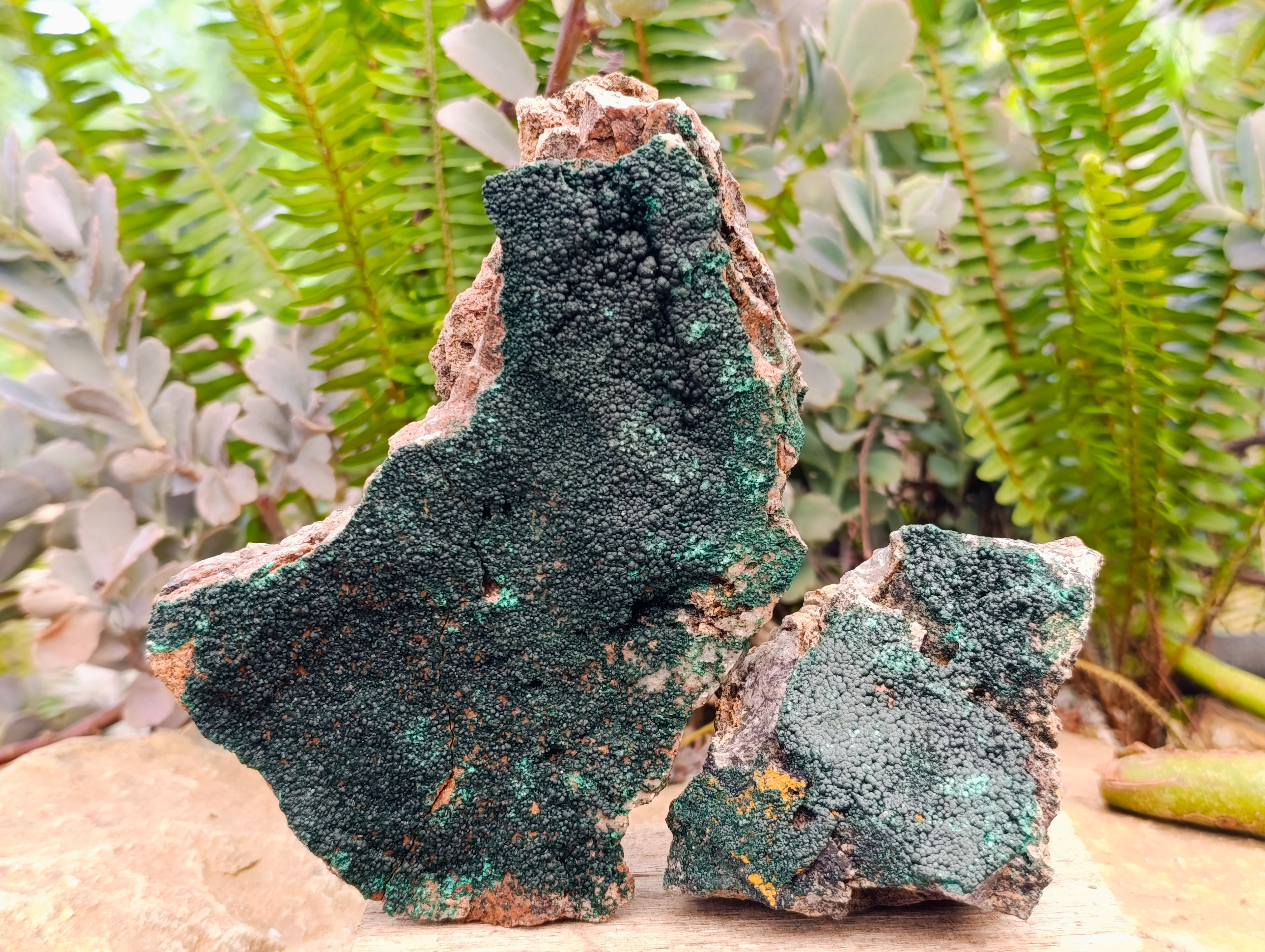 Natural Fine Botryoidal Crystalline Malachite Specimens x 3 From Tenke Fungurume, Congo - Toprock Gemstones and Minerals 