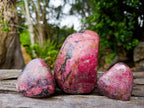 Polished Rhodonite Free Forms x 3 From Rhusinga, Zimbabwe - Toprock Gemstones and Minerals 
