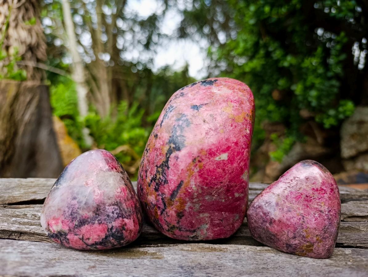 Polished Rhodonite Free Forms x 3 From Rhusinga, Zimbabwe - Toprock Gemstones and Minerals 