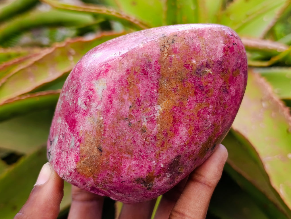 Polished Rhodonite Free Forms x 3 From Rhusinga, Zimbabwe - Toprock Gemstones and Minerals 