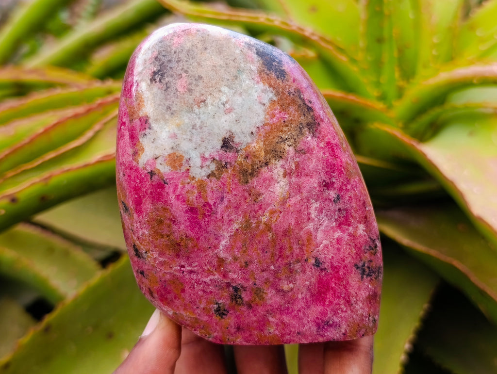 Polished Rhodonite Free Forms x 3 From Rhusinga, Zimbabwe - Toprock Gemstones and Minerals 