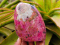 Polished Rhodonite Free Forms x 3 From Rhusinga, Zimbabwe - Toprock Gemstones and Minerals 