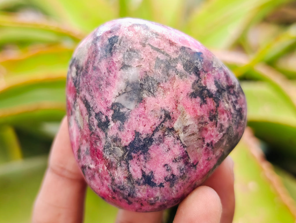 Polished Rhodonite Free Forms x 3 From Rhusinga, Zimbabwe - Toprock Gemstones and Minerals 