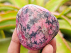 Polished Rhodonite Free Forms x 3 From Rhusinga, Zimbabwe - Toprock Gemstones and Minerals 