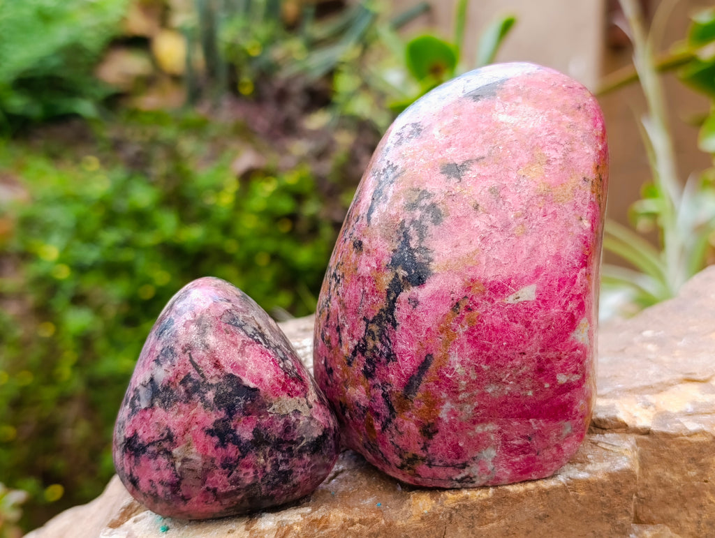 Polished Rhodonite Free Forms x 3 From Rhusinga, Zimbabwe - Toprock Gemstones and Minerals 