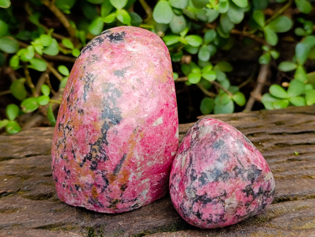 Polished Rhodonite Free Forms x 3 From Rhusinga, Zimbabwe - Toprock Gemstones and Minerals 