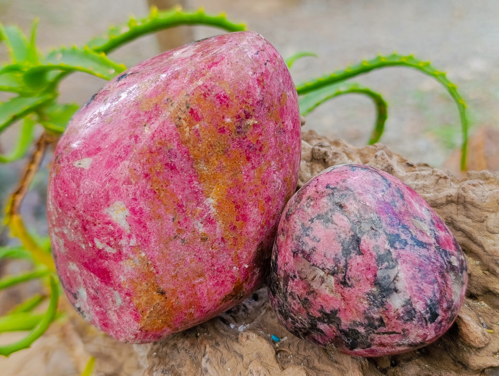 Polished Rhodonite Free Forms x 3 From Rhusinga, Zimbabwe - Toprock Gemstones and Minerals 