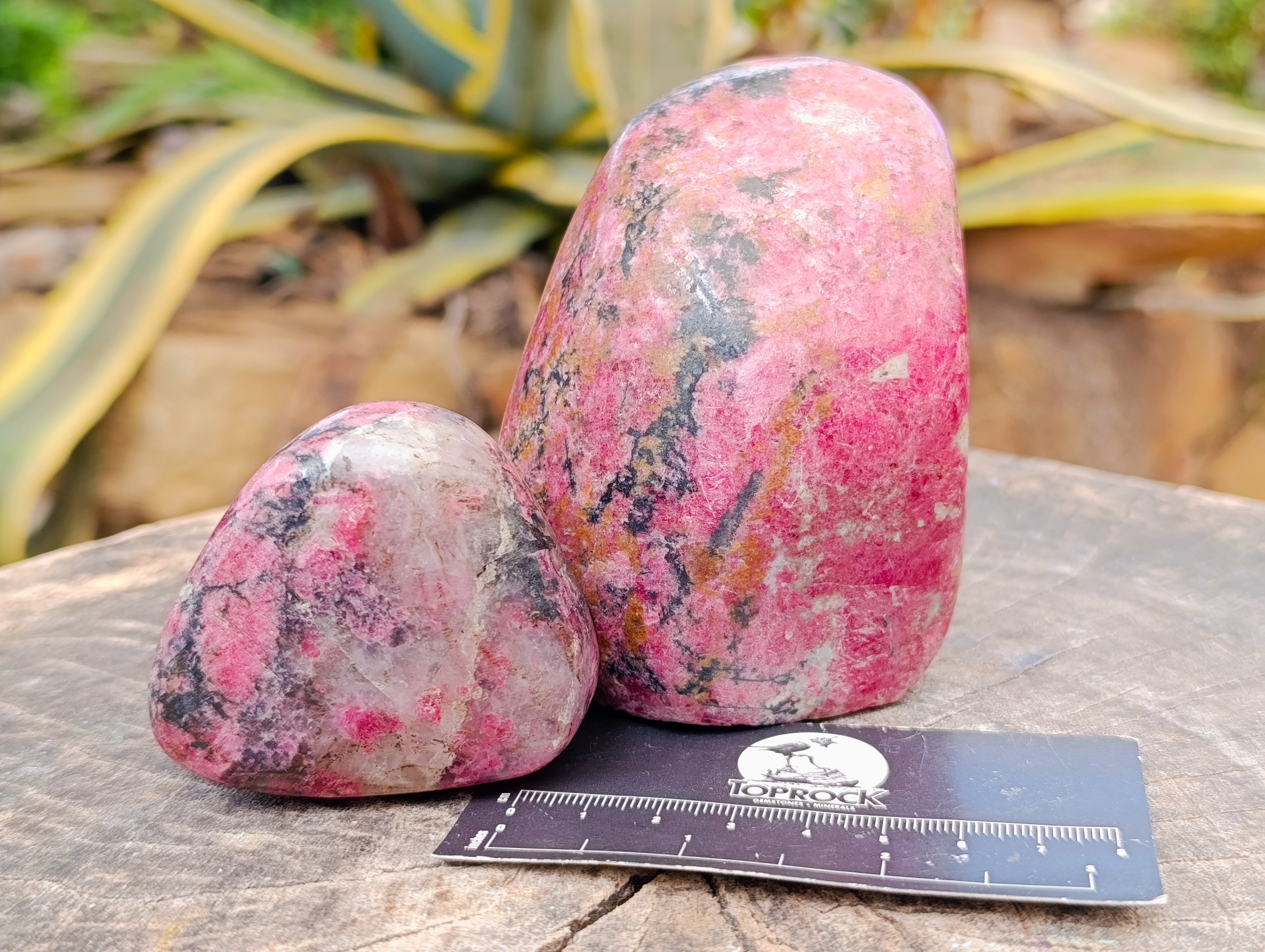 Polished Rhodonite Free Forms x 3 From Rhusinga, Zimbabwe - Toprock Gemstones and Minerals 