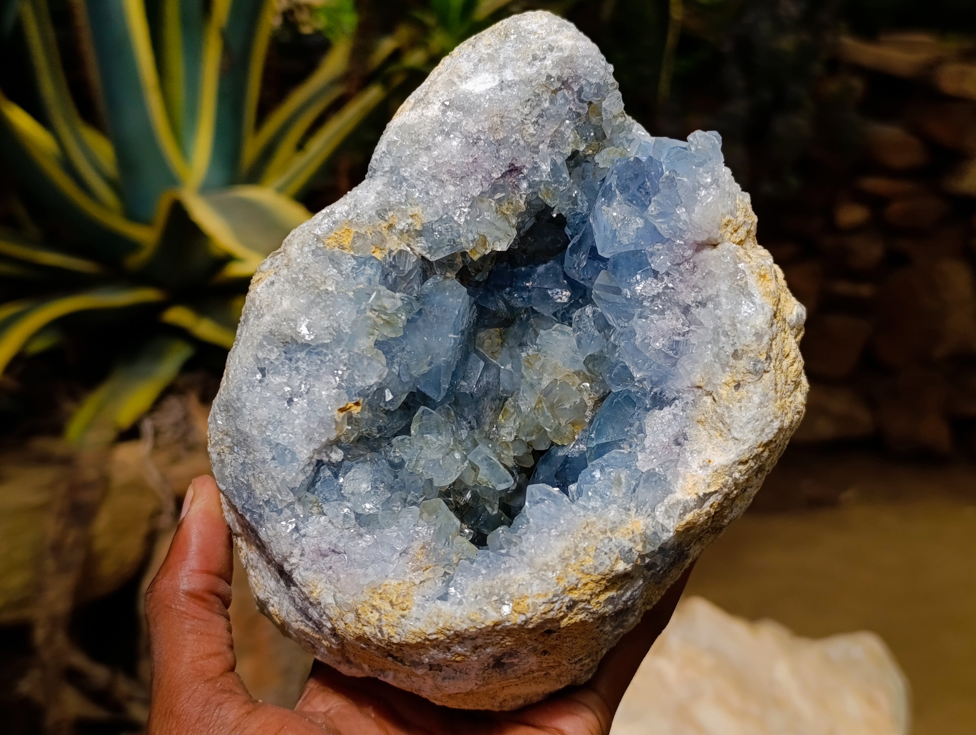 Natural Large Blue Celestite Geode Specimen x 1 From Sakoany, Madagascar - Toprock Gemstones and Minerals 