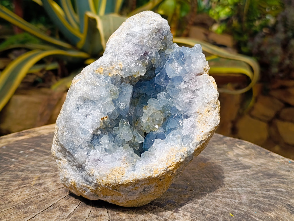 Natural Large Blue Celestite Geode Specimen x 1 From Sakoany, Madagascar - Toprock Gemstones and Minerals 