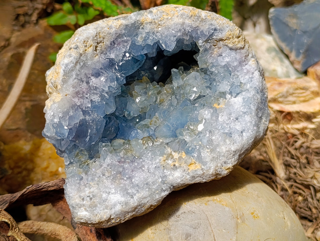 Natural Large Blue Celestite Geode Specimen x 1 From Sakoany, Madagascar - Toprock Gemstones and Minerals 