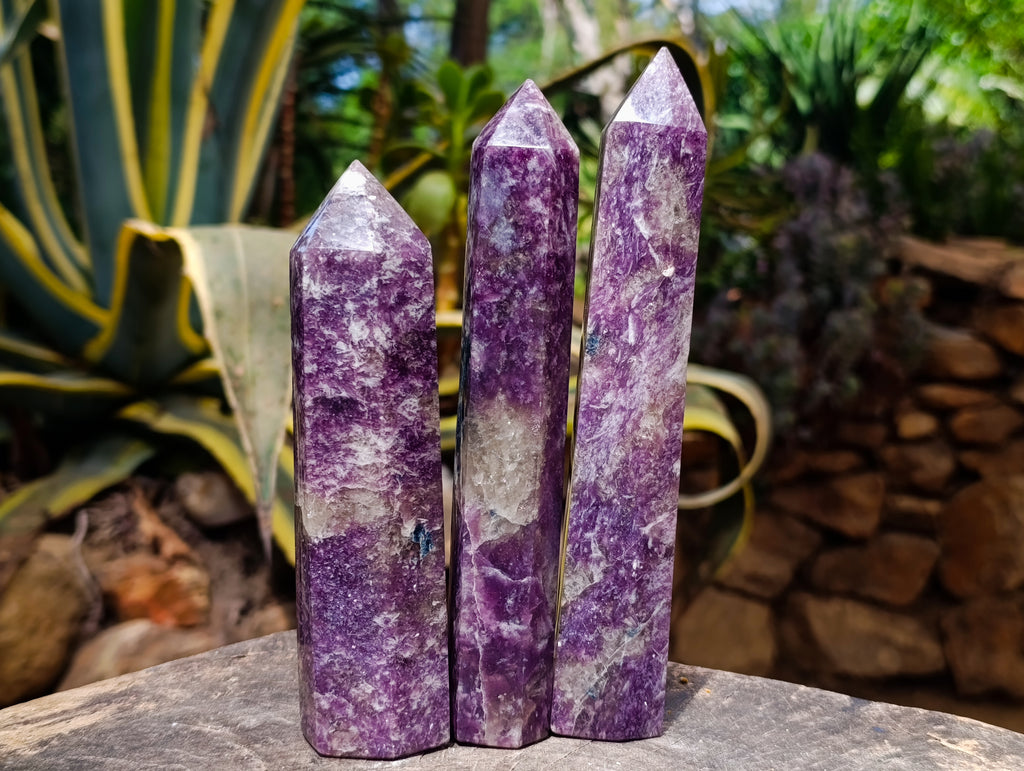 Polished Lepidolite Display Crystals x 7 From Ambatondrazaka, Madagascar - Toprock Gemstones and Minerals 