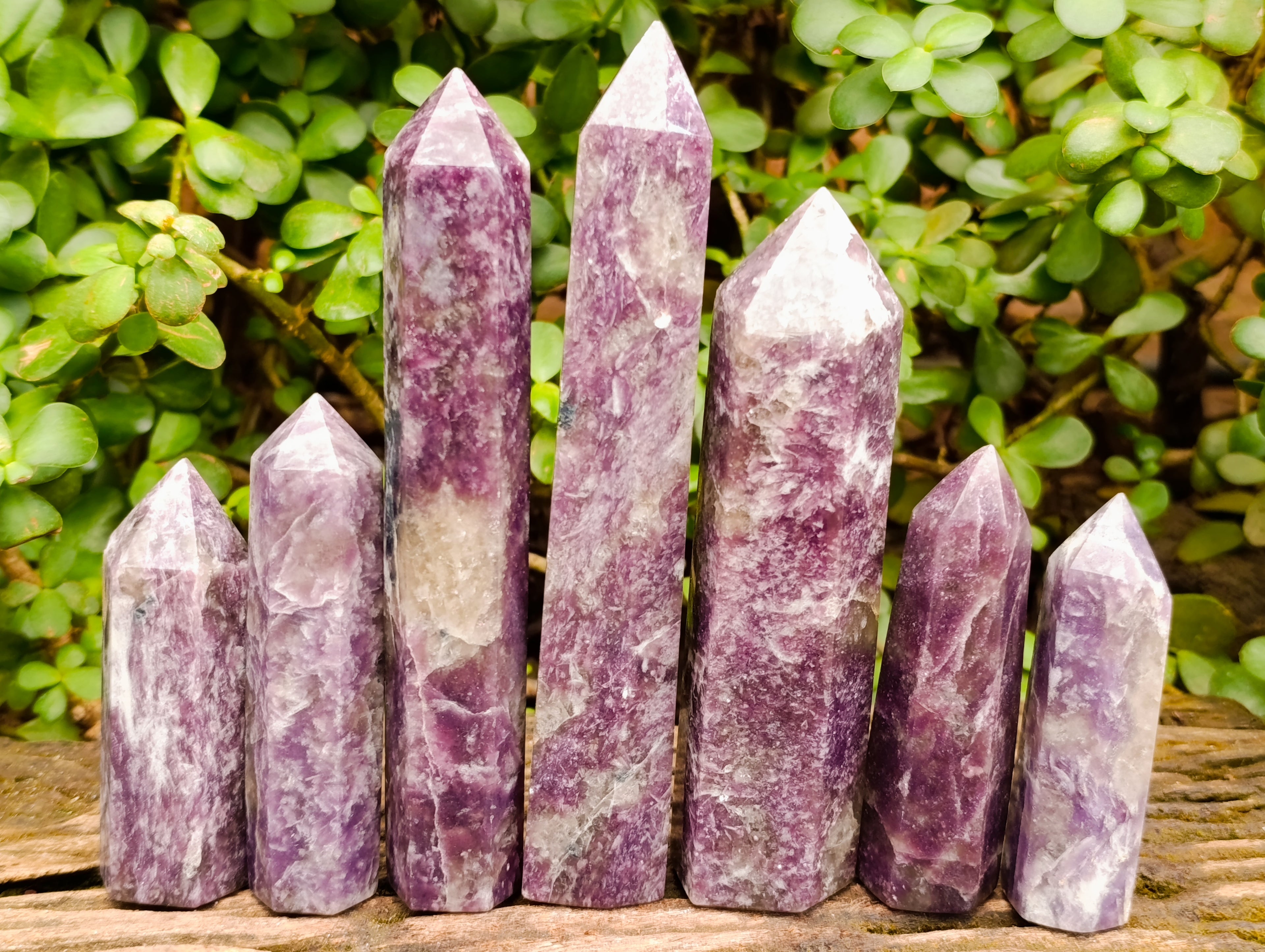 Polished Lepidolite Display Crystals x 7 From Ambatondrazaka, Madagascar - Toprock Gemstones and Minerals 