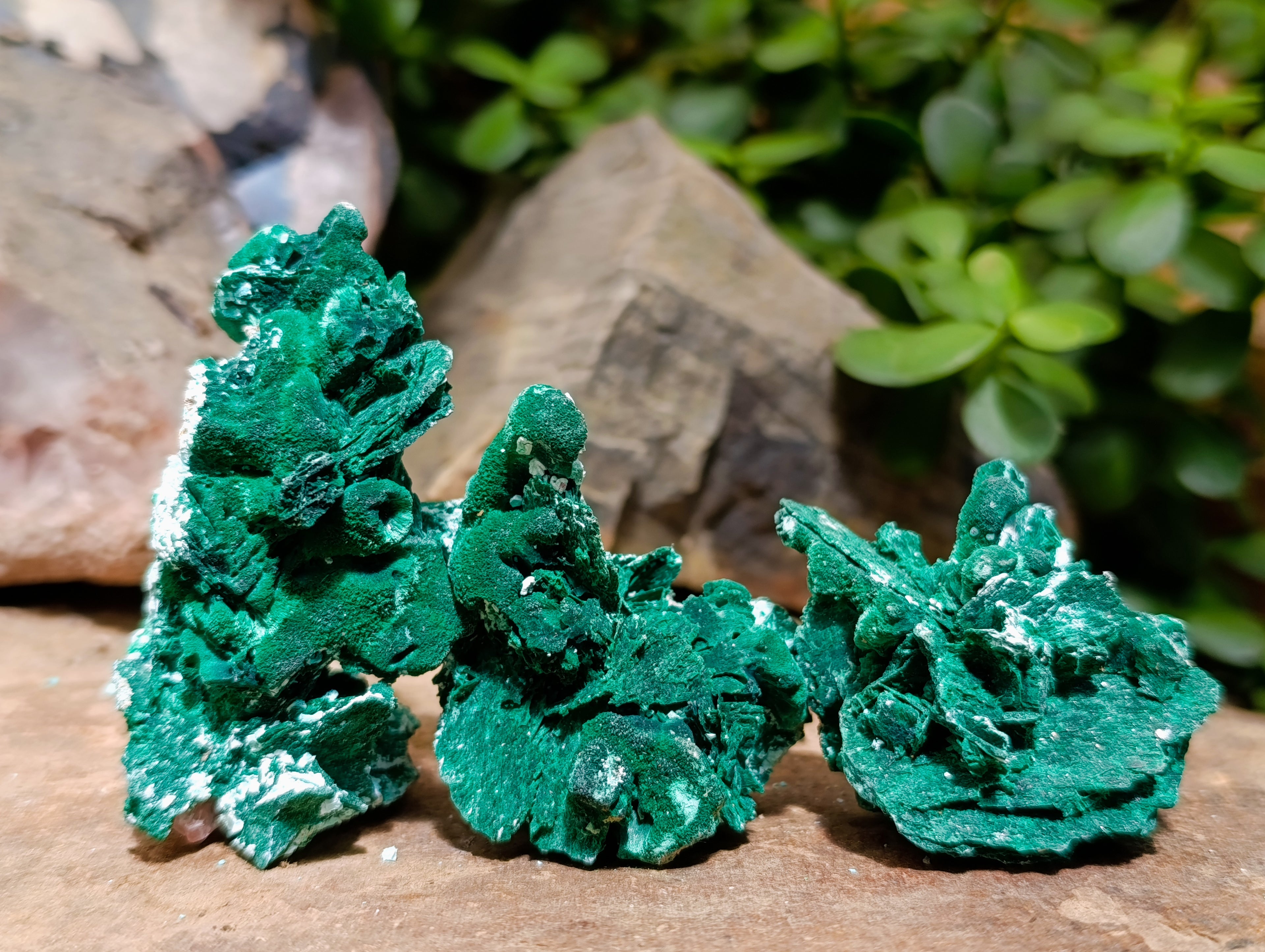 Natural Rare Malachite Pseudomorph Specimens with Associated x 12 From Kolwezi, Congo - Toprock Gemstones and Minerals 