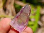 Natural Mix of Small Smokey Amethyst and Clear Quartz Crystals x 70 From Brandberg, Namibia - Toprock Gemstones and Minerals 