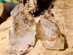 Natural Mix of Small Smokey Amethyst and Clear Quartz Crystals x 70 From Brandberg, Namibia - Toprock Gemstones and Minerals 
