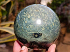 Polished Stromatolite Spheres x 3 From Katsepy, Madagascar - Toprock Gemstones and Minerals 
