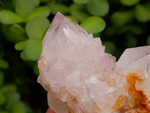 Natural Sunburst Spirit Amethyst Clusters x 4 From Boekenhouthoek, South Africa - Toprock Gemstones and Minerals 