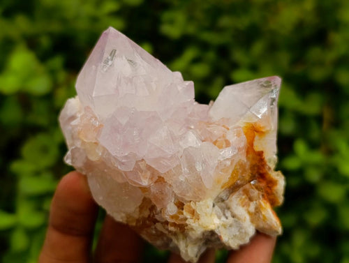 Natural Sunburst Spirit Amethyst Clusters x 4 From Boekenhouthoek, South Africa - Toprock Gemstones and Minerals 