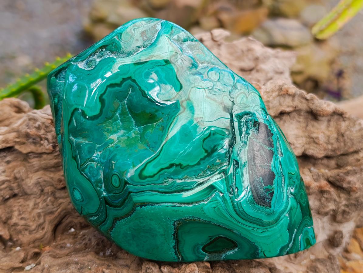 Polished Flower Banded Malachite Free Forms x 2 From Congo - Toprock Gemstones and Minerals 