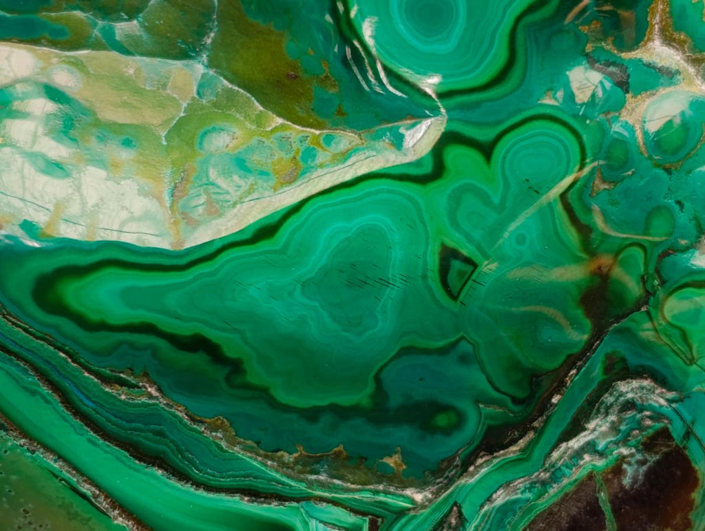 Polished Flower Banded Malachite Free Forms x 2 From Congo - Toprock Gemstones and Minerals 