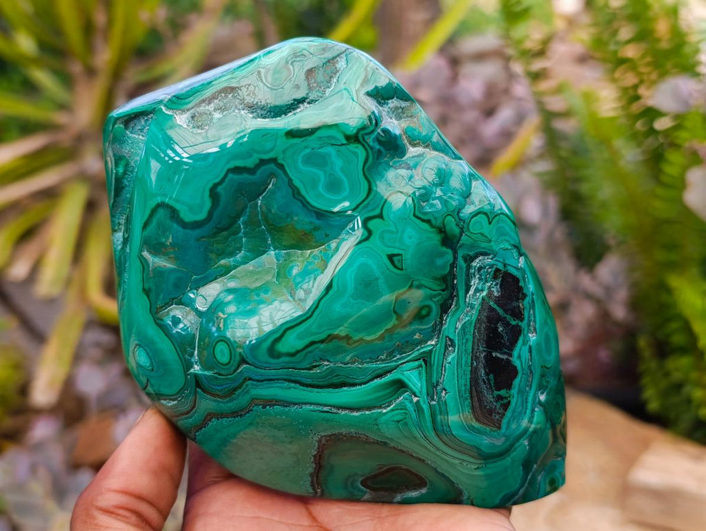 Polished Flower Banded Malachite Free Forms x 2 From Congo - Toprock Gemstones and Minerals 