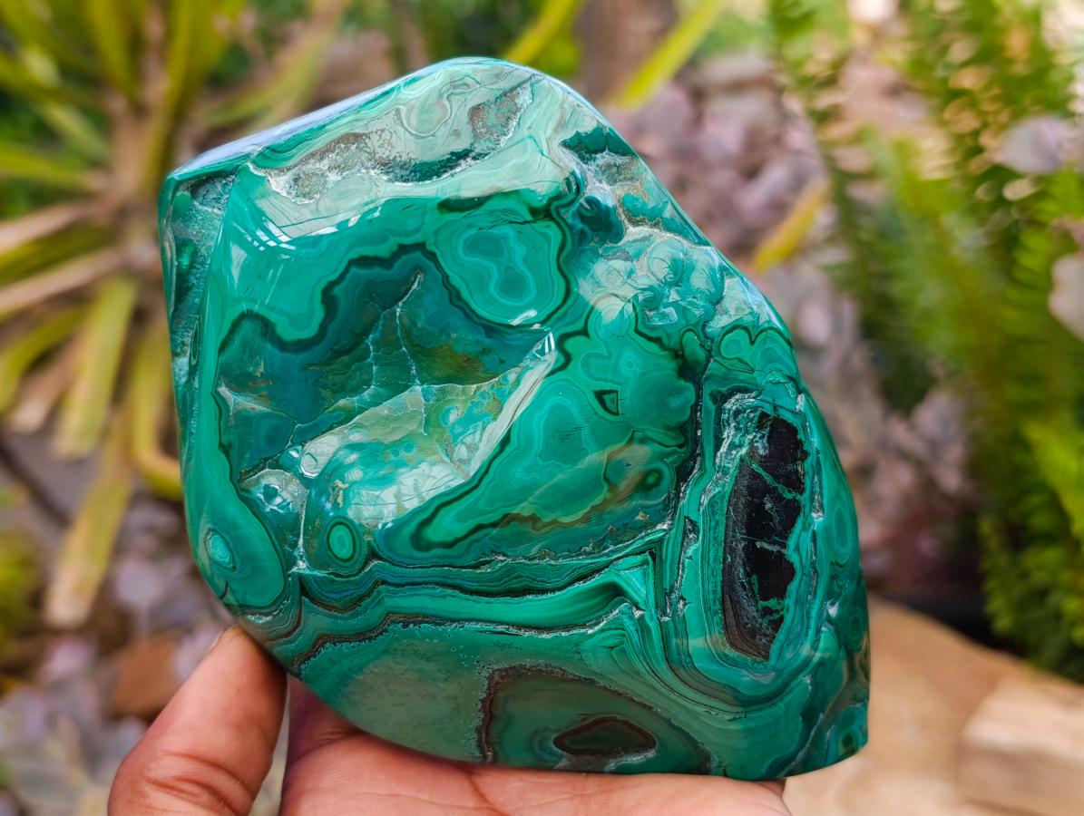 Polished Flower Banded Malachite Free Forms x 2 From Congo - Toprock Gemstones and Minerals 