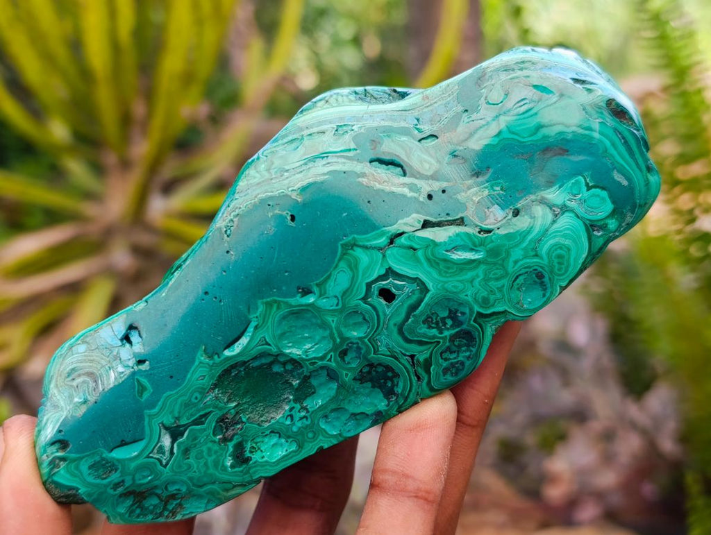 Polished Flower Banded Malachite Free Forms x 2 From Congo - Toprock Gemstones and Minerals 