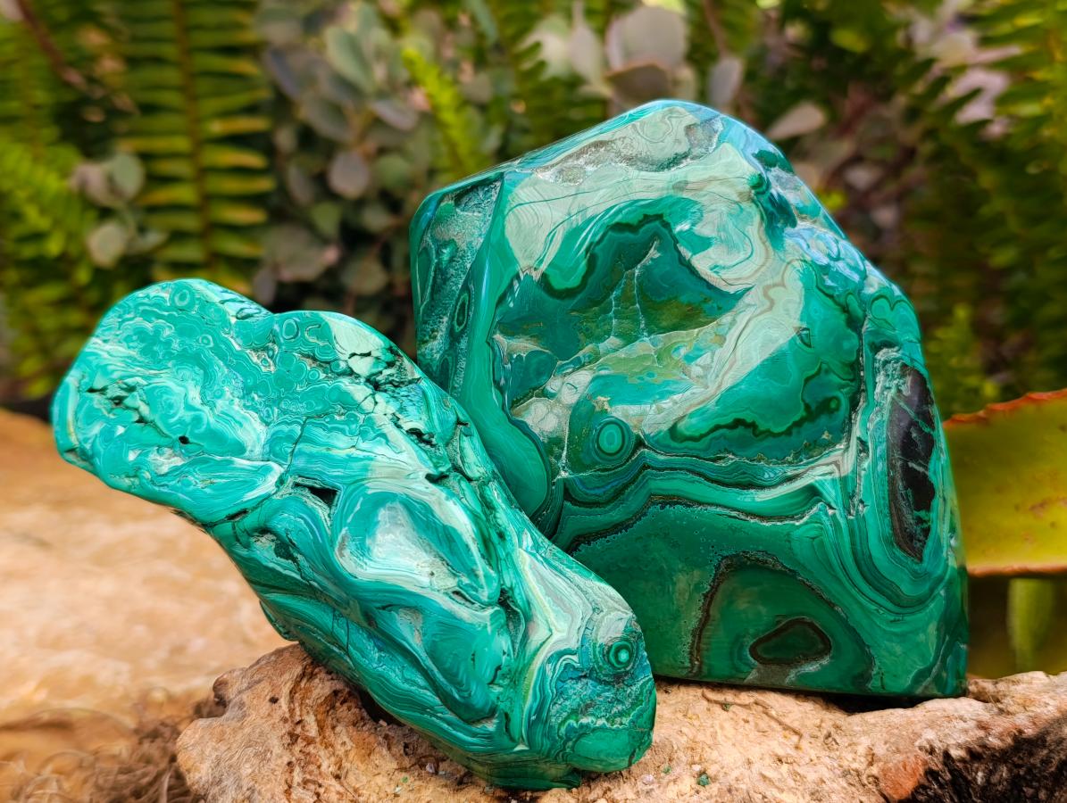 Polished Flower Banded Malachite Free Forms x 2 From Congo - Toprock Gemstones and Minerals 