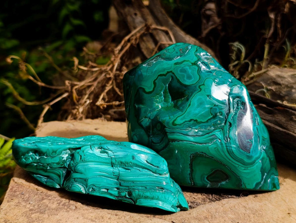Polished Flower Banded Malachite Free Forms x 2 From Congo - Toprock Gemstones and Minerals 