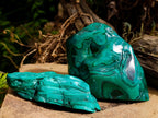 Polished Flower Banded Malachite Free Forms x 2 From Congo - Toprock Gemstones and Minerals 
