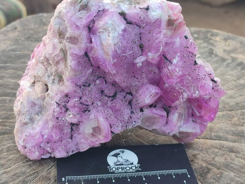 Natural Ultra Rare Rhodocalcite Specimen x 1 From Mashamba West, Congo - Toprock Gemstones and Minerals 