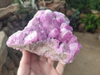 Natural Ultra Rare Rhodocalcite Specimen x 1 From Mashamba West, Congo - Toprock Gemstones and Minerals 