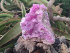 Natural Ultra Rare Rhodocalcite Specimen x 1 From Mashamba West, Congo - Toprock Gemstones and Minerals 