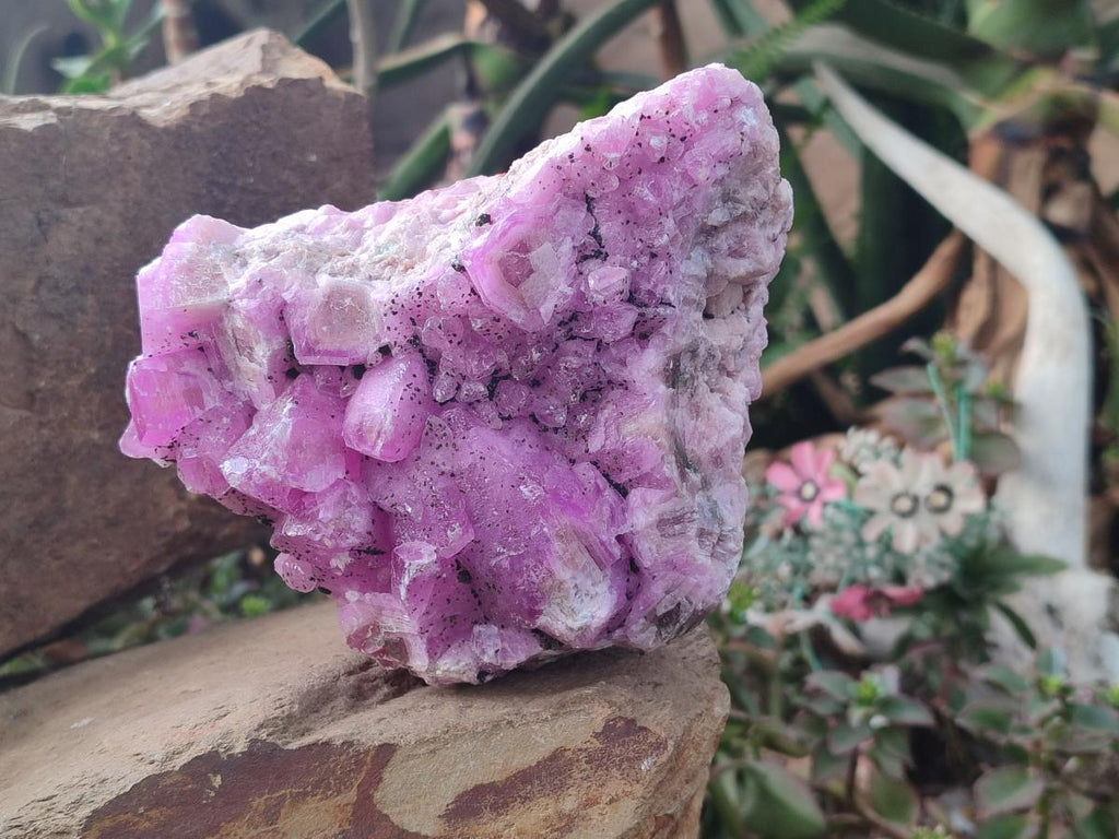Natural Ultra Rare Rhodocalcite Specimen x 1 From Mashamba West, Congo - Toprock Gemstones and Minerals 