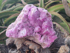 Natural Ultra Rare Rhodocalcite Specimen x 1 From Mashamba West, Congo - Toprock Gemstones and Minerals 