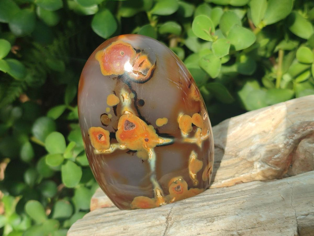 Polished Mixed Multi Mineral Pieces x 6 From Madagascar - Toprock Gemstones and Minerals 