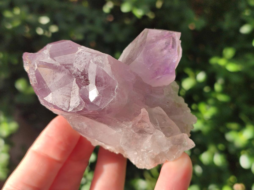 Natural Jacaranda Amethyst Crystal Clusters x 6 From Mumbwa, Zambia - Toprock Gemstones and Minerals 