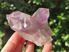 Natural Jacaranda Amethyst Crystal Clusters x 6 From Mumbwa, Zambia - Toprock Gemstones and Minerals 