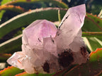 Natural Jacaranda Amethyst Crystal Clusters x 6 From Mumbwa, Zambia - Toprock Gemstones and Minerals 