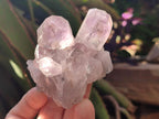 Natural Jacaranda Amethyst Crystal Clusters x 6 From Mumbwa, Zambia - Toprock Gemstones and Minerals 