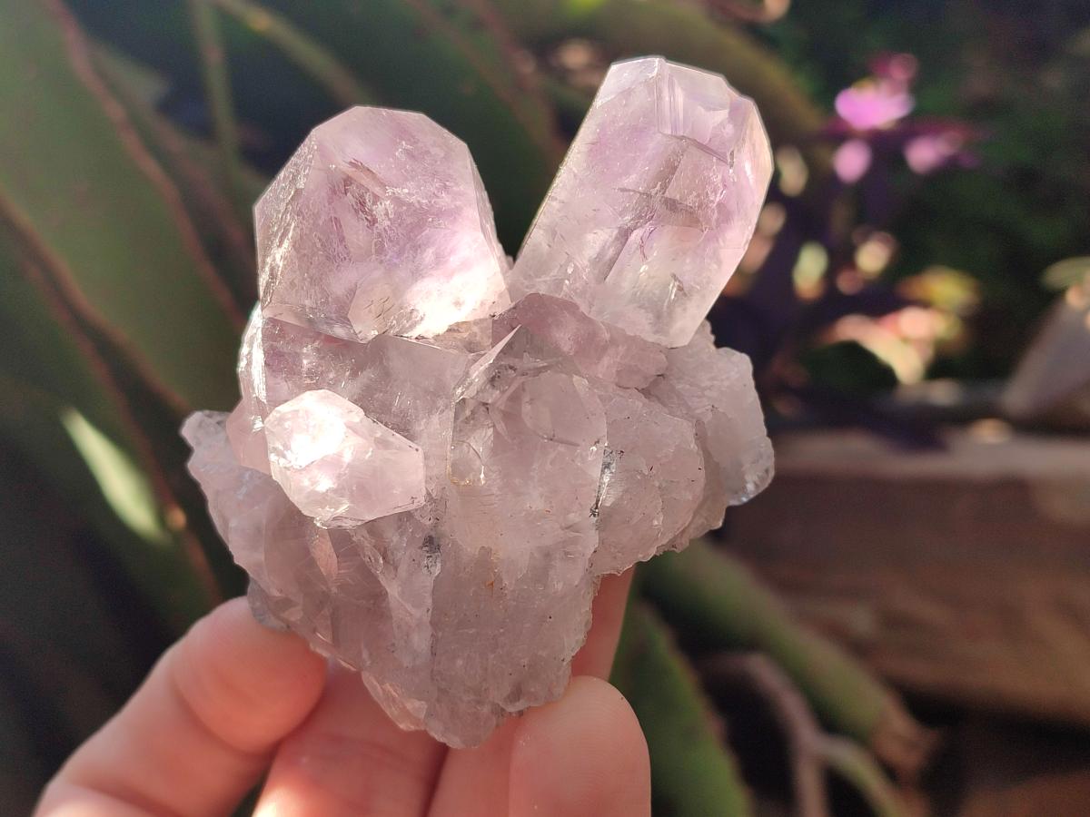 Natural Jacaranda Amethyst Crystal Clusters x 6 From Mumbwa, Zambia - Toprock Gemstones and Minerals 