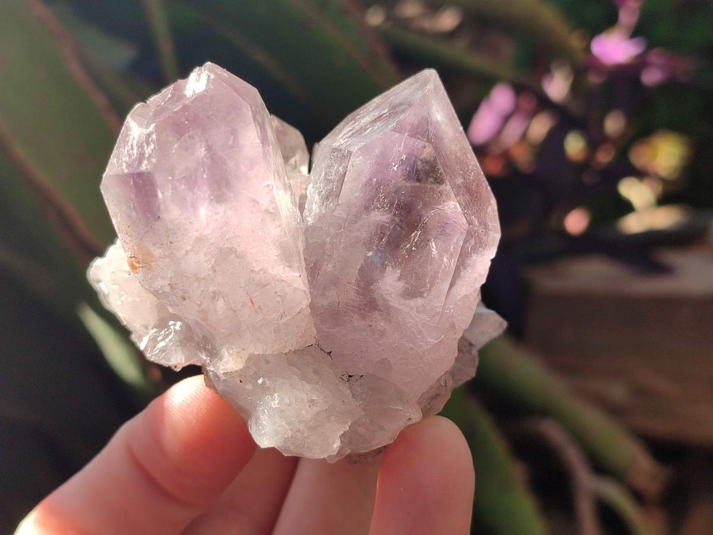 Natural Jacaranda Amethyst Crystal Clusters x 6 From Mumbwa, Zambia - Toprock Gemstones and Minerals 