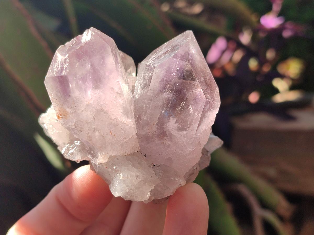 Natural Jacaranda Amethyst Crystal Clusters x 6 From Mumbwa, Zambia - Toprock Gemstones and Minerals 