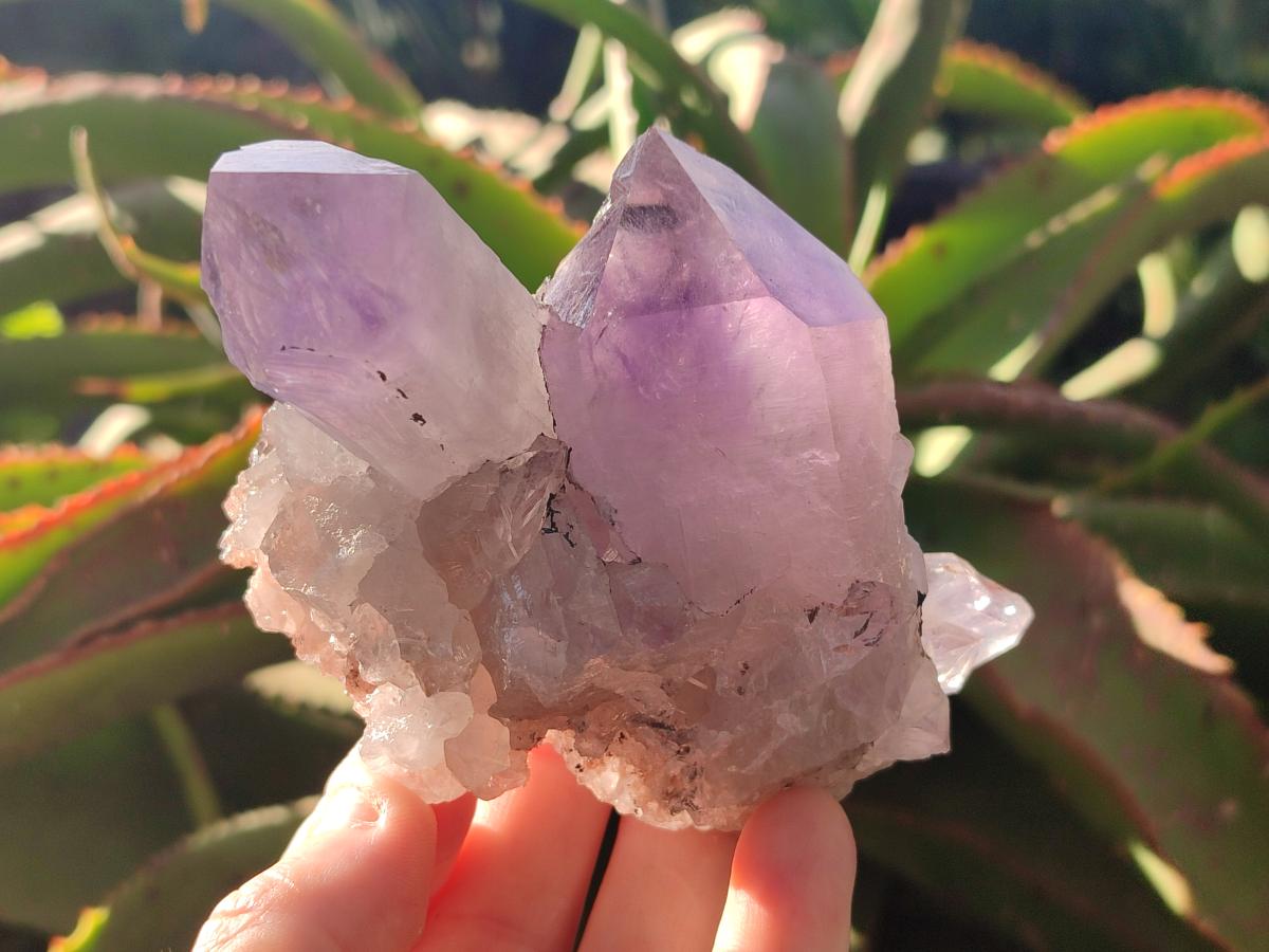 Natural Jacaranda Amethyst Crystal Clusters x 6 From Mumbwa, Zambia - Toprock Gemstones and Minerals 