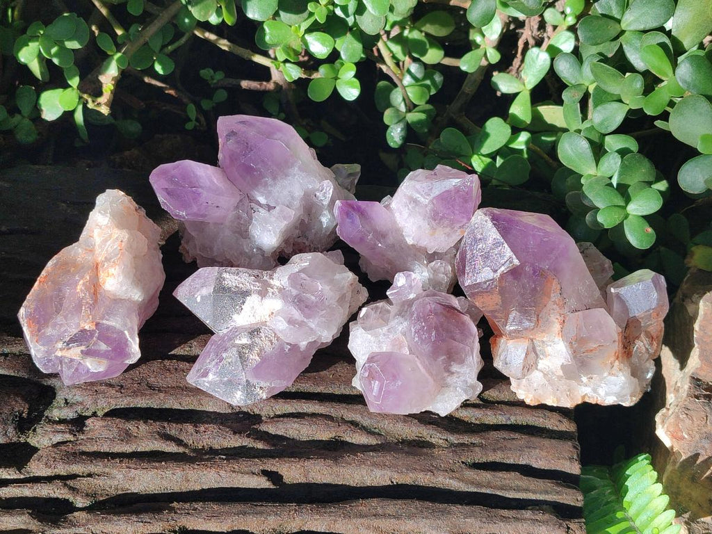 Natural Jacaranda Amethyst Crystal Clusters x 6 From Mumbwa, Zambia - Toprock Gemstones and Minerals 