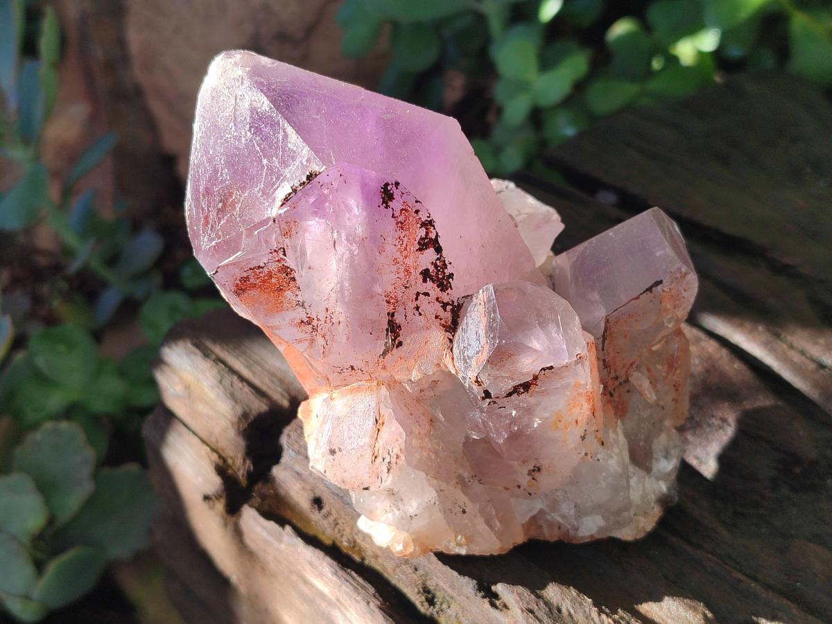 Natural Jacaranda Amethyst Crystal Clusters x 6 From Mumbwa, Zambia - Toprock Gemstones and Minerals 