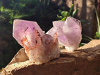 Natural Jacaranda Amethyst Crystal Clusters x 6 From Mumbwa, Zambia - Toprock Gemstones and Minerals 