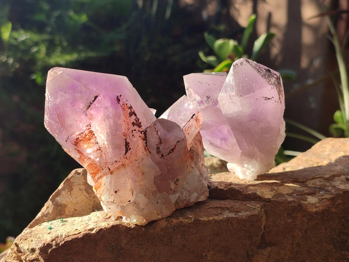 Natural Jacaranda Amethyst Crystal Clusters x 6 From Mumbwa, Zambia - Toprock Gemstones and Minerals 