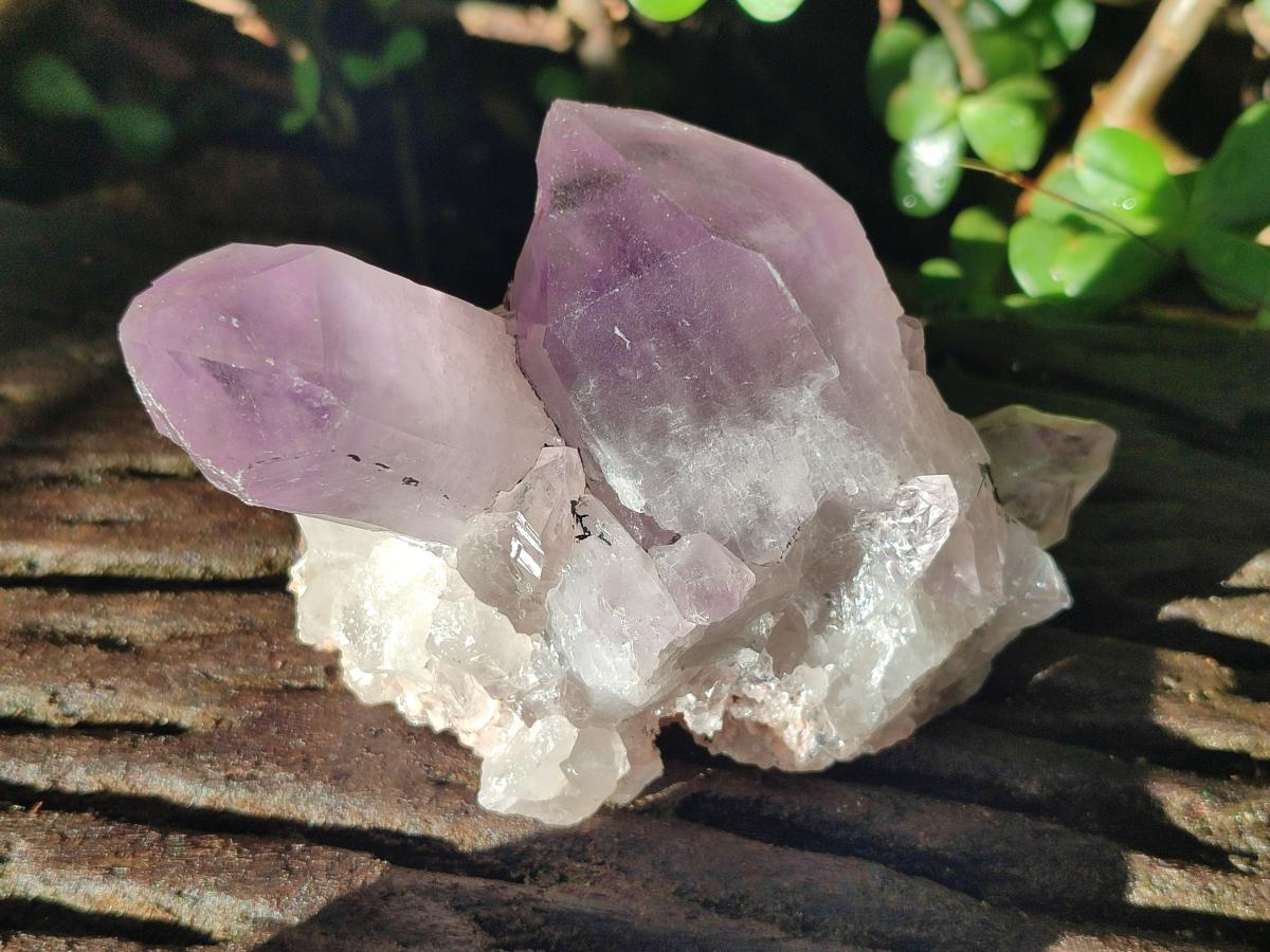 Natural Jacaranda Amethyst Crystal Clusters x 6 From Mumbwa, Zambia - Toprock Gemstones and Minerals 